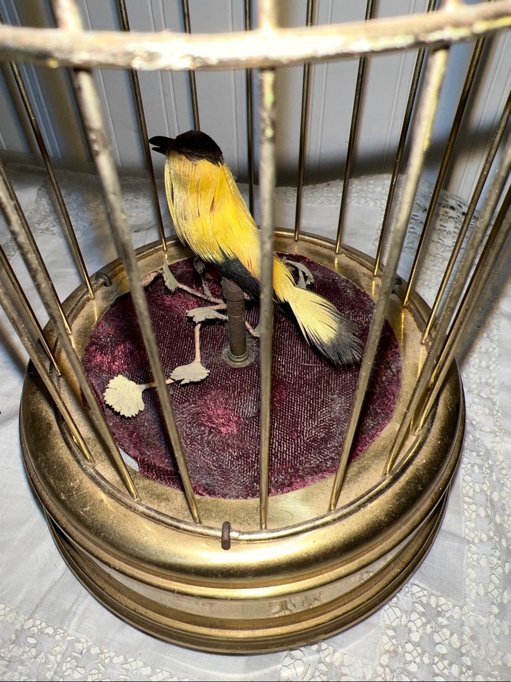 Early 20th Century Musical Bird Automaton - Picture 7 of 8